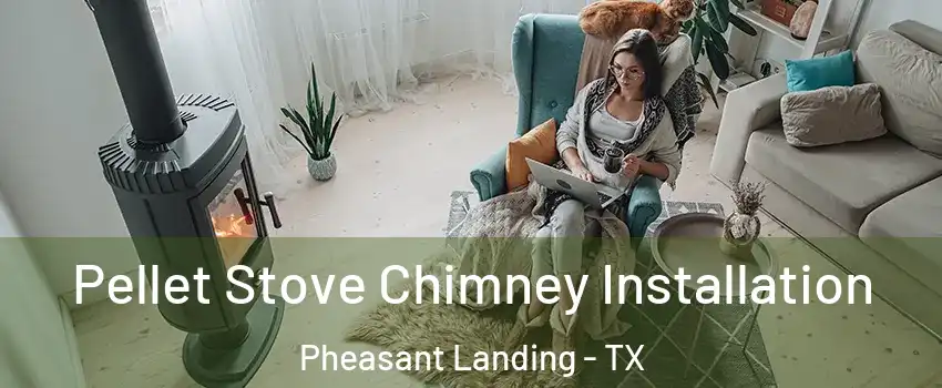 Pellet Stove Chimney Installation Pheasant Landing - TX