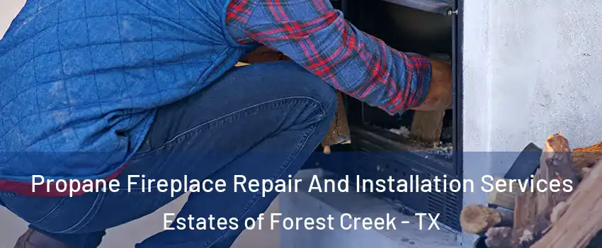 Propane Fireplace Repair And Installation Services Estates of Forest Creek - TX