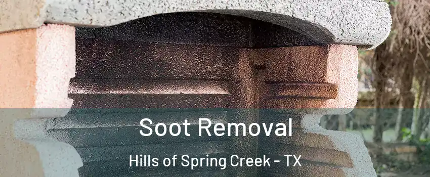 Soot Removal Hills of Spring Creek - TX