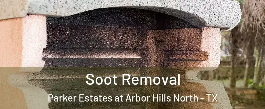 Soot Removal Parker Estates at Arbor Hills North - TX