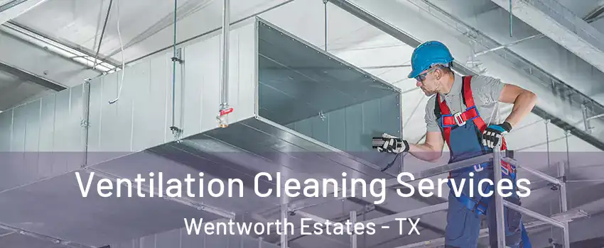 Ventilation Cleaning Services Wentworth Estates - TX