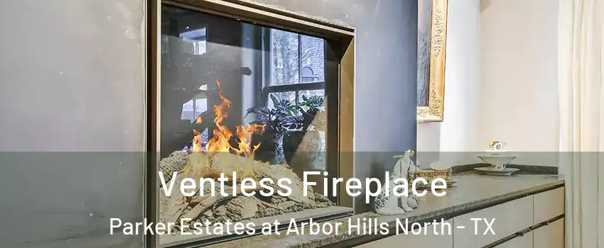 Ventless Fireplace Parker Estates at Arbor Hills North - TX