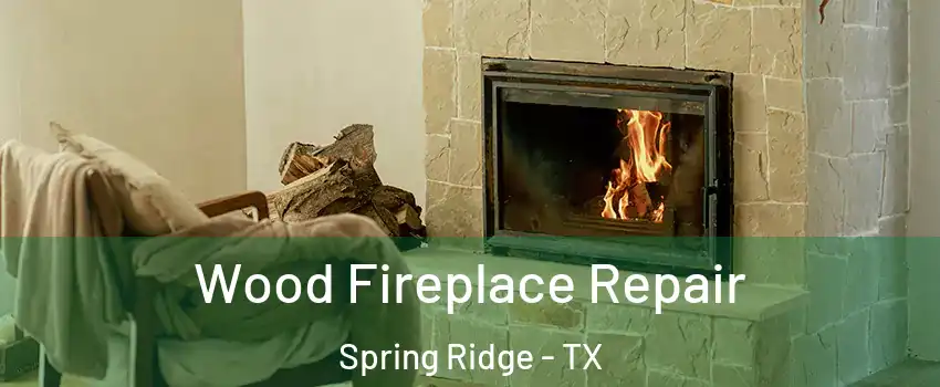 Wood Fireplace Repair Spring Ridge - TX