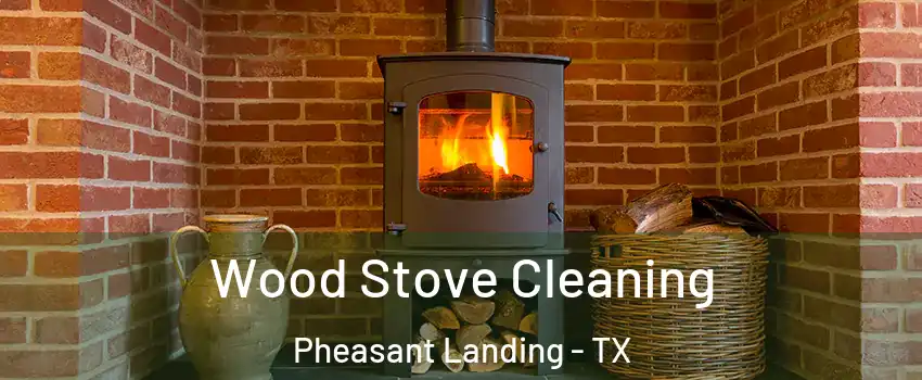 Wood Stove Cleaning Pheasant Landing - TX